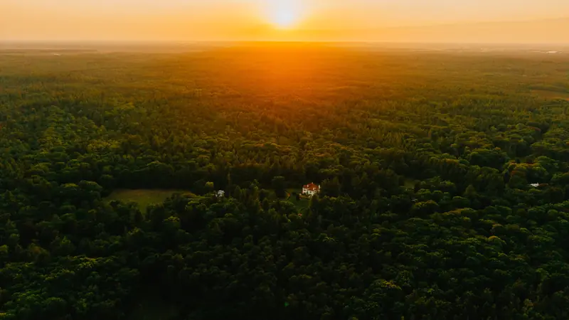 Zonsondergang boven de bossen, gefilmd met de drone